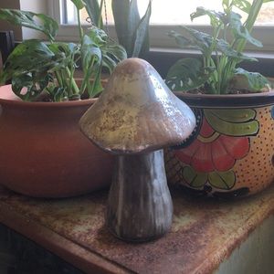 Mercury Glass mushroom 🍄 tall